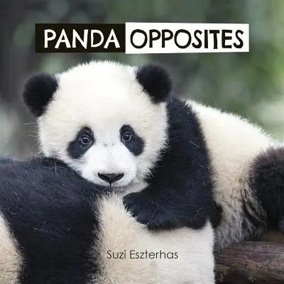 Panda protikladů - Panda Opposites