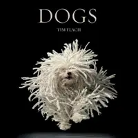 Psi - Dogs