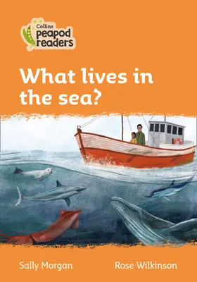 Úroveň 4 - Co žije v moři? - Level 4 - What lives in the sea?
