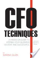 Techniky finančního ředitele: Kniha: Fredy: Praktický průvodce, jak udržet firmu solventní a úspěšnou - CFO Techniques: A Hands-On Guide to Keeping Your Business Solvent and Successful