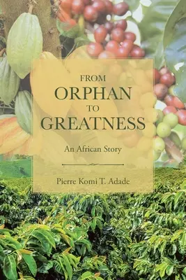 Od sirotka k velikosti: Africký příběh - From Orphan to Greatness: An African Story