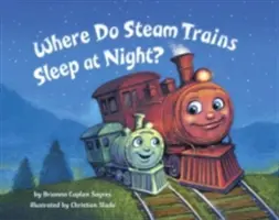 Kde spí parní vlaky v noci? - Where Do Steam Trains Sleep at Night?