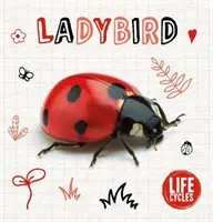 Beruška - Ladybird