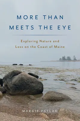 Více, než se na první pohled zdá: Zkoumání přírody a ztrát na pobřeží Maine - More Than Meets the Eye: Exploring Nature and Loss on the Coast of Maine