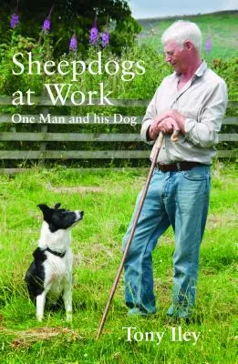 Ovčáci v práci: Kniha: Jeden člověk a jeho psi - Sheepdogs at Work: One Man and His Dogs
