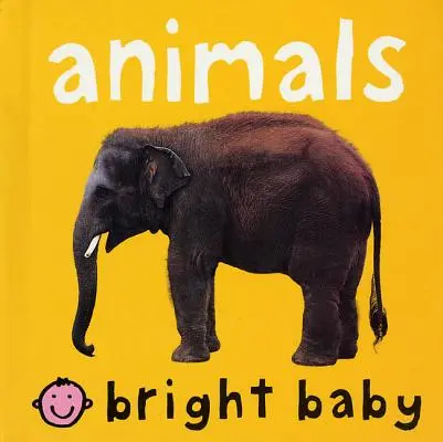 Zvířata: - Animals