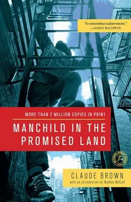 Mužské dítě v zemi zaslíbené - Manchild in the Promised Land