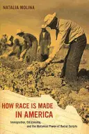 Jak se v Americe vytváří rasa, 38: Imigrace, občanství a historická moc rasových skriptů - How Race Is Made in America, 38: Immigration, Citizenship, and the Historical Power of Racial Scripts