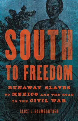 Na jih ke svobodě: Útěk otroků do Mexika a cesta k občanské válce (anglicky) - South to Freedom: Runaway Slaves to Mexico and the Road to the Civil War