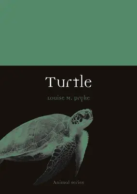 Želva - Turtle
