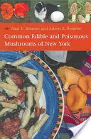 Běžné jedlé a jedovaté houby státu New York - Common Edible and Poisonous Mushrooms of New York