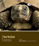 Želvy - Tortoise