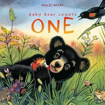 Medvídek počítá jedna - Baby Bear Counts One