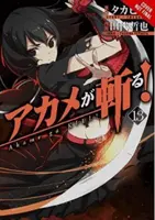 Akame Ga Kill!, svazek 13 - Akame Ga Kill!, Vol. 13