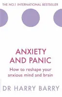 Úzkost a panika: Jak přetvořit úzkostnou mysl a mozek - Anxiety and Panic: How to Reshape Your Anxious Mind and Brain