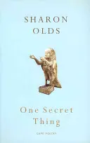 Jedna tajná věc - One Secret Thing