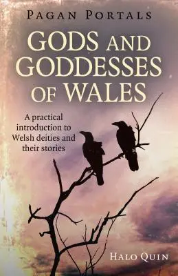 Pohanské portály - Bohové a bohyně Walesu: Praktický úvod do velšských božstev a jejich příběhů - Pagan Portals - Gods and Goddesses of Wales: A Practical Introduction to Welsh Deities and Their Stories