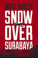 Sníh nad Surabayou - Snow Over Surabaya
