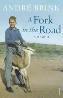 Rozcestí na cestě - Fork in the Road