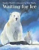 Čekání na led - Waiting for Ice