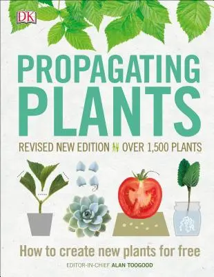 Rozmnožování rostlin: Jak vytvořit nové rostliny zdarma - Propagating Plants: How to Create New Plants for Free