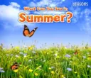 Co můžeš vidět v létě? - What Can You See In Summer?