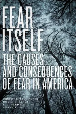 Strach sám o sobě: Příčiny a důsledky strachu v Americe - Fear Itself: The Causes and Consequences of Fear in America