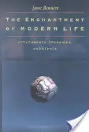 Okouzlení moderním životem: Přilnavost, křížení a etika (Attachments, Crossings, and Ethics) - The Enchantment of Modern Life: Attachments, Crossings, and Ethics