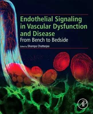 Endoteliální signalizace v cévní dysfunkci a nemoci: Od stolu k lůžku pacienta - Endothelial Signaling in Vascular Dysfunction and Disease: From Bench to Bedside