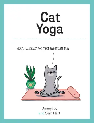 Kočičí jóga - Cat Yoga