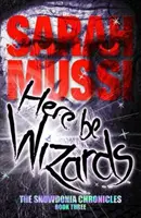 Here be Wizards - The Snowdonia Chronicles: The Snowdonia Chronicles: Třetí kniha - Here be Wizards - The Snowdonia Chronicles: Book Three