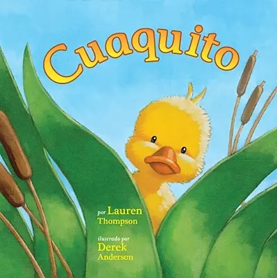 Cuaquito (Malý kvákal) - Cuaquito (Little Quack)