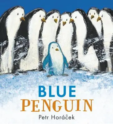 Modrý tučňák - Blue Penguin
