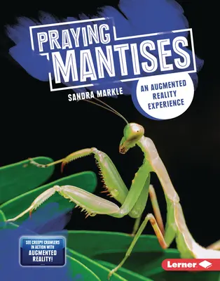 Kudlanky nábožné: Zážitek s rozšířenou realitou - Praying Mantises: An Augmented Reality Experience