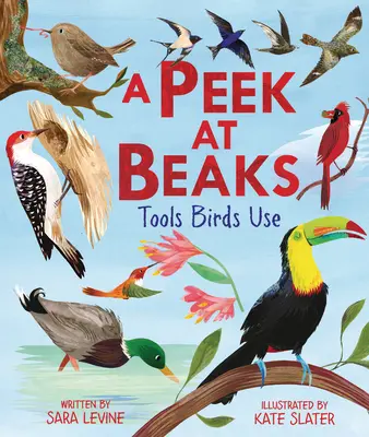 A Peek at Beaks: Nástroje, které ptáci používají - A Peek at Beaks: Tools Birds Use
