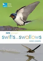RSPB Spotlight Swifts and Swallows (Labutě a vlaštovky) - RSPB Spotlight Swifts and Swallows