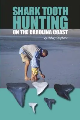 Lov žraločích zubů na pobřeží Karolíny - Shark Tooth Hunting on the Carolina Coast