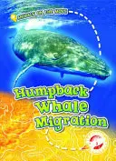 Migrace keporkaků - Humpback Whale Migration