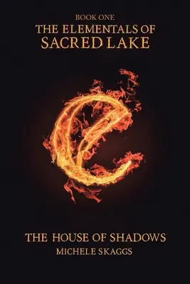 Dům stínů: Kniha první - The House of Shadows: Book One