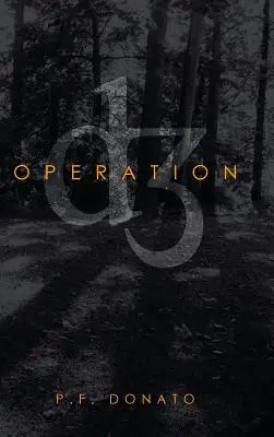 Operace D3 - Operation D3