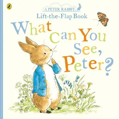 Co vidíš, Petře? - Velmi velká kniha se zvednutou klapkou - What Can You See Peter? - Very Big Lift the Flap Book