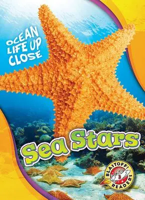 Mořské hvězdy - Sea Stars