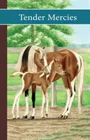 Stáj Sonrise: S tebou vším: Tender Mercies - Sonrise Stable: Tender Mercies