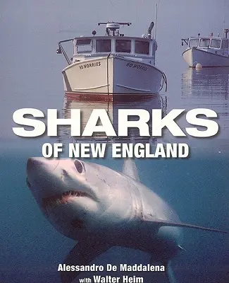 Žraloci Nové Anglie - Sharks of New England