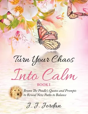 Proměňte svůj chaos v klid - Turn Your Chaos Into Calm