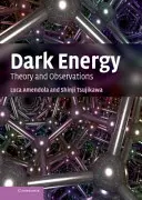 Temná energie: Teorie a pozorování - Dark Energy: Theory and Observations