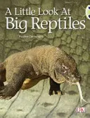 Klub brouků řízená literatura faktu 1. ročník Modrá B Malý pohled na velké plazy - Bug Club Guided Non Fiction Year 1 Blue B A Little Look at Big Reptiles