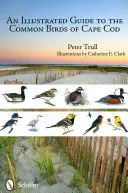 Ilustrovaný průvodce běžnými ptáky Cape Cod - An Illustrated Guide to the Common Birds of Cape Cod
