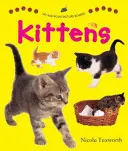 Říkejte a ukazujte obrázkové tabule: Koťata - Say and Point Picture Boards: Kittens