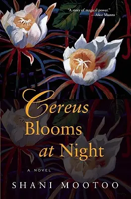 Cereus kvete v noci - Cereus Blooms at Night